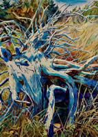 Monhegan Driftwood by Michael E Vermette